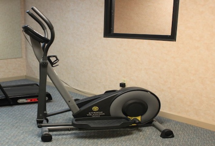 Gold's_Gym_Stride_Trainer_300_Elliptical